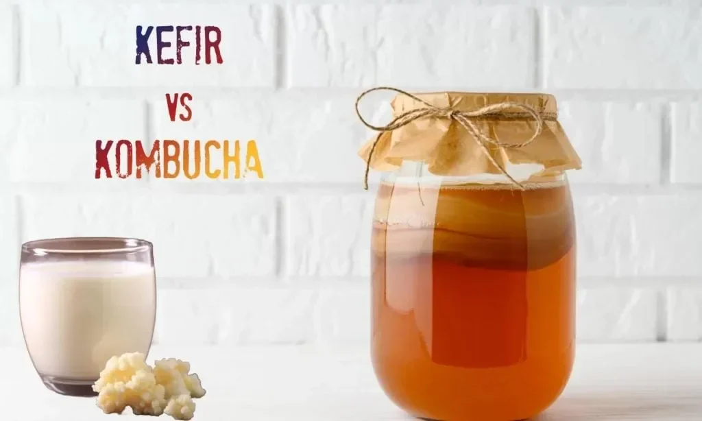 kombucha vs kefir mana yang lebih jago bikin usus sehatmu auto glowing portal berita terbaru