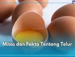 Makan Telur Setiap Hari Bikin Kolesterol Naik? Stop Panik, Ini Fakta Mengejutkan yang Wajib Kamu Tahu! 14 Makan Telur Setiap Hari Bikin Kolesterol Naik? Stop Panik, Ini Fakta Mengejutkan yang Wajib Kamu Tahu!