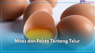 Makan Telur Setiap Hari Bikin Kolesterol Naik? Stop Panik, Ini Fakta Mengejutkan yang Wajib Kamu Tahu! 13 makan telur setiap hari bikin kolesterol naik stop panik ini fakta mengejutkan yang wajib kamu tahu portal berita terbaru