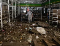 Meksiko Berduka: Longsor Maut Huachinango Telan Satu Keluarga, Puluhan Hilang! Desakan Pencarian Menggema