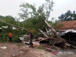 Mencekam! Detik-detik Tornado ‘Monster’ Hantam Prancis, Crane Raksasa Ambruk, 1 Tewas Tragis