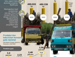 Mimpi Manis 2028: Indonesia Targetkan Swasembada Gula, Bisakah Tercapai?