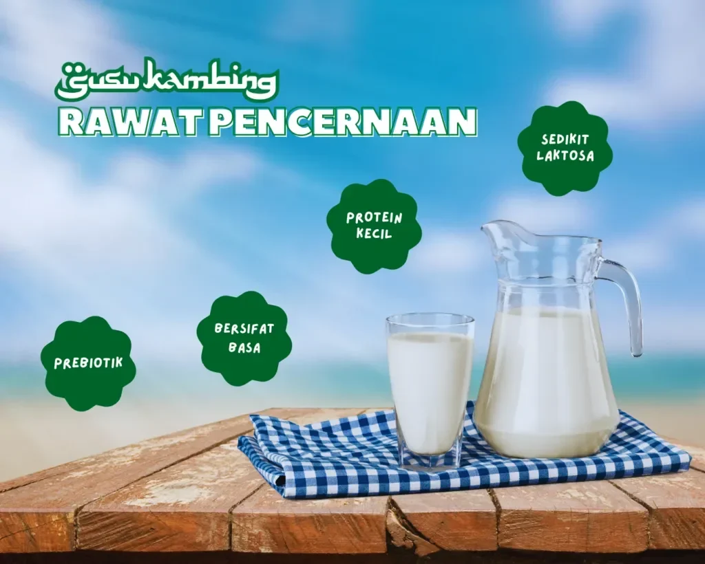 minum susu kambing setiap hari ini 7 manfaat ajaib yang bikin tubuh sehat luar dalam portal berita terbaru