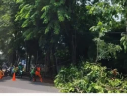 Modus Licik! Pria Beratribut Ojol Gasak HP di Siang Bolong, Terekam CCTV!