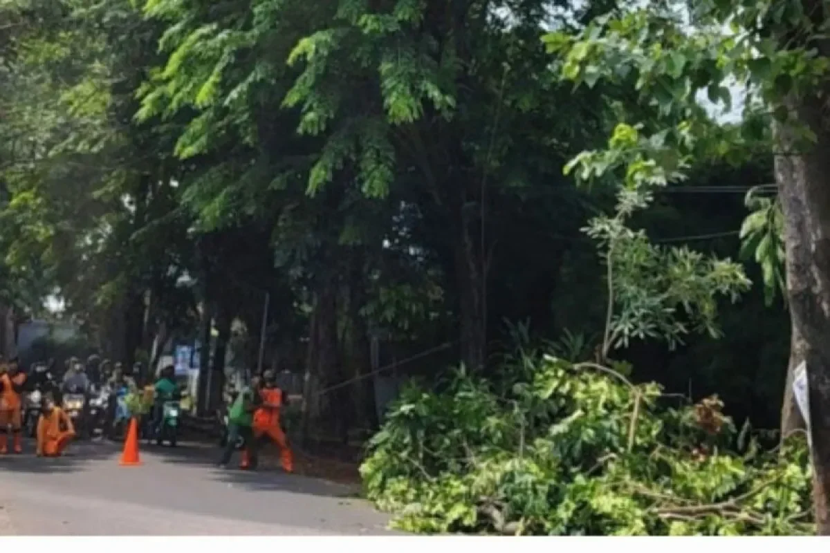 modus licik pria beratribut ojol gasak hp di siang bolong terekam cctv portal berita terbaru