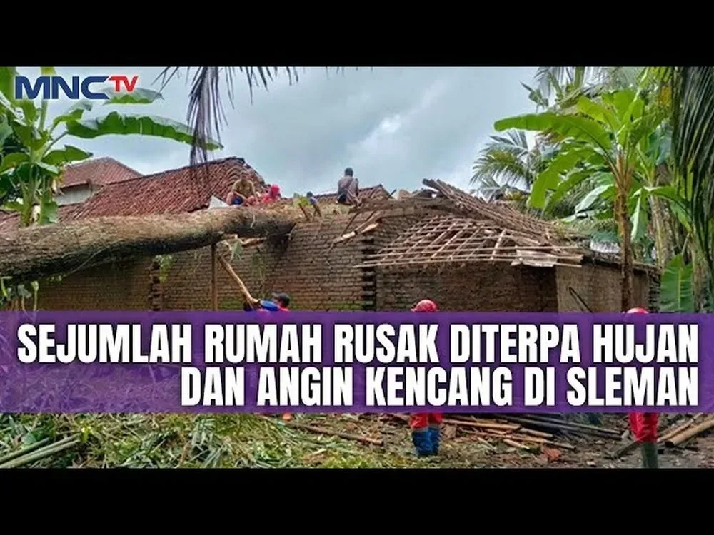 new york mencekam badai noreaster lumpuhkan kota warga diminta waspada portal berita terbaru