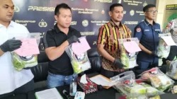 Ngeri! 18,5 Kg Sabu Dimusnahkan Polres Jakbar, Jaringan Narkoba Internasional Terbongkar! 4 ngeri 185 kg sabu dimusnahkan polres jakbar jaringan narkoba internasional terbongkar portal berita terbaru