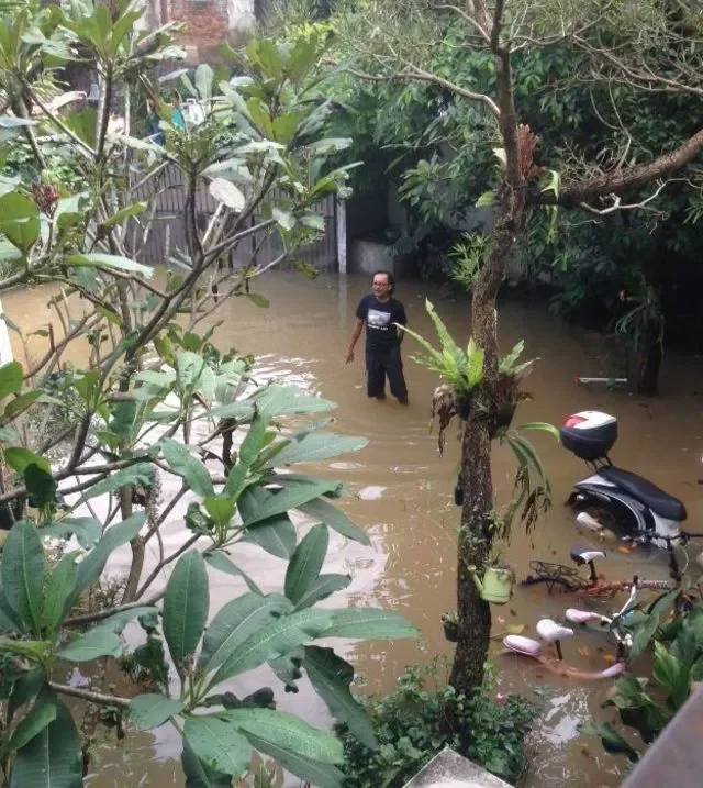 ngeri banget pertunjukan drone di china berubah jadi hujan api penonton panik bak hari kiamat portal berita terbaru
