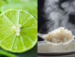 Nggak Perlu Takut Gula Darah Naik! Cuma Modal 2 Trik Ini, Nasi Putih Auto Lebih Sehat