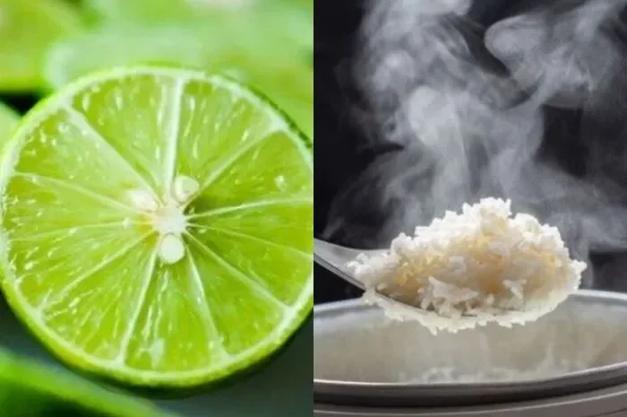 nggak perlu takut gula darah naik cuma modal 2 trik ini nasi putih auto lebih sehat portal berita terbaru