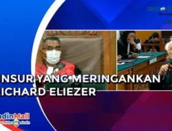 Nikita Mirzani Senyum Lebar! Saksi Ahli Bongkar Fakta Mengejutkan, Kasus Pemerasan Ambyar?
