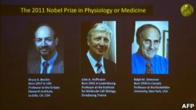 nobel kedokteran 2025 rem tubuh ditemukan kunci baru lawan autoimun kanker portal berita terbaru