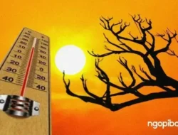 Panasnya Bikin Gerah! BMKG Ungkap 3 Penyebab Suhu Ekstrem di Indonesia dan Kapan Berakhir
