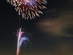 Pecah! Langit Liuyang Berpesta Cahaya, Intip Kompetisi Kembang Api Paling Epik Sedunia