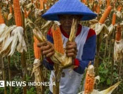 Pemerintah AS Resmi Shutdown! 6 Negara Bagian Ini Terancam Paling Parah, Apa Kabar Ekonomi Global?