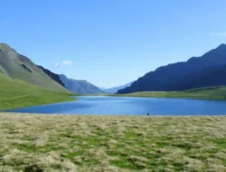 Penelitian Ungkap: Cuma 20 Menit di Galeri Seni, Stresmu Langsung Minggat!