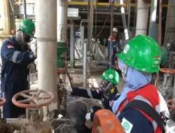 Pertamina Bikin Ibu-ibu Dumai Jadi Pahlawan Gizi: Stunting Minggat Berkat Inovasi Hidroponik!