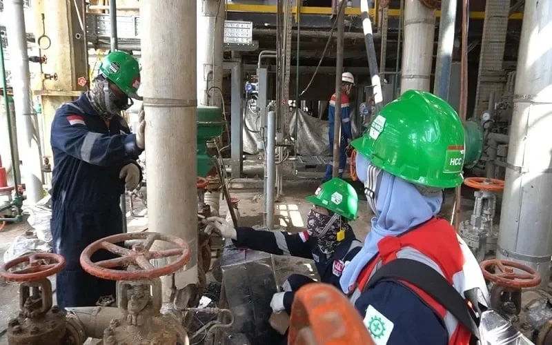 pertamina bikin ibu ibu dumai jadi pahlawan gizi stunting minggat berkat inovasi hidroponik portal berita terbaru