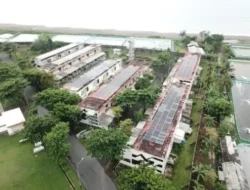 Pertamina Gaspol! Jurus Jitu Indonesia Jadi Raja Energi Hijau Dunia, AS Lewat?