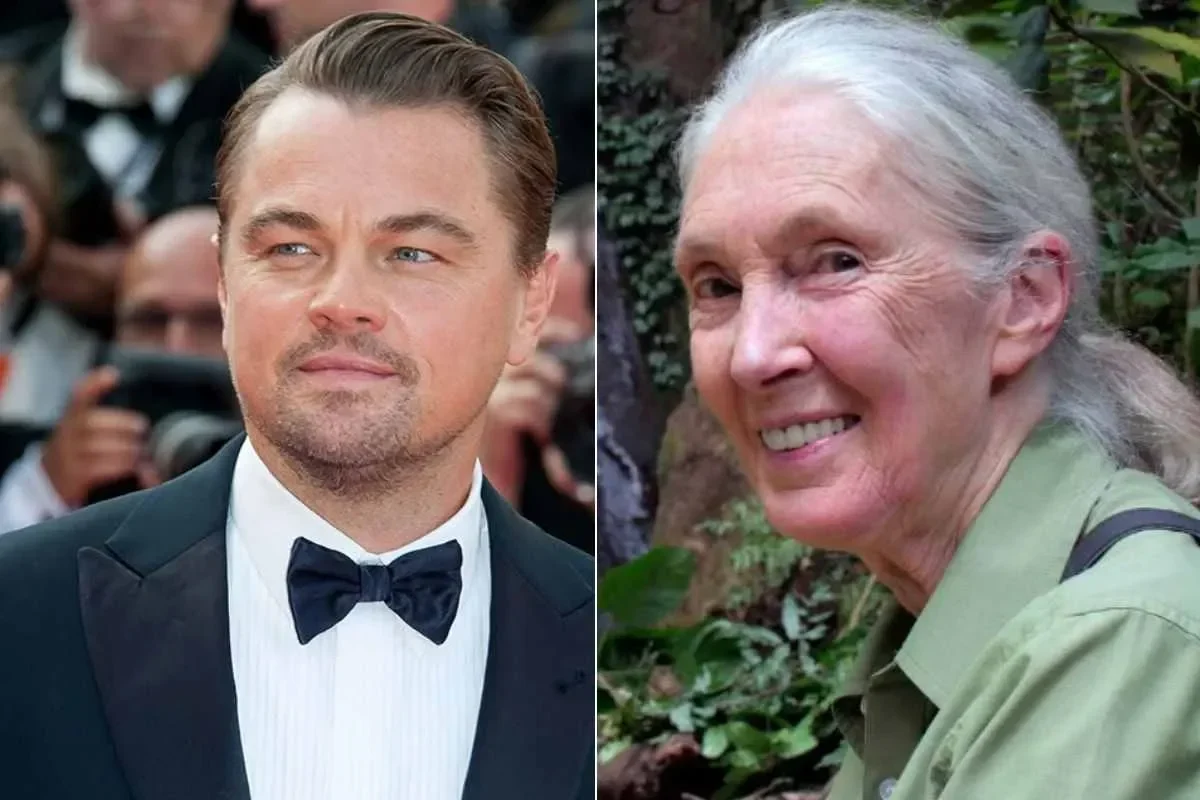 pesan terakhir leonardo dicaprio untuk pahlawan lingkungan yang meninggal dunia bikin merinding portal berita terbaru