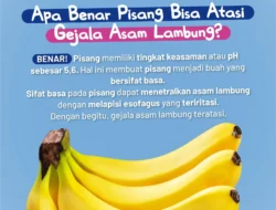 Pisang Berbintik Hitam Lawan Kanker? Jangan Kaget, Ini Fakta Sebenarnya!