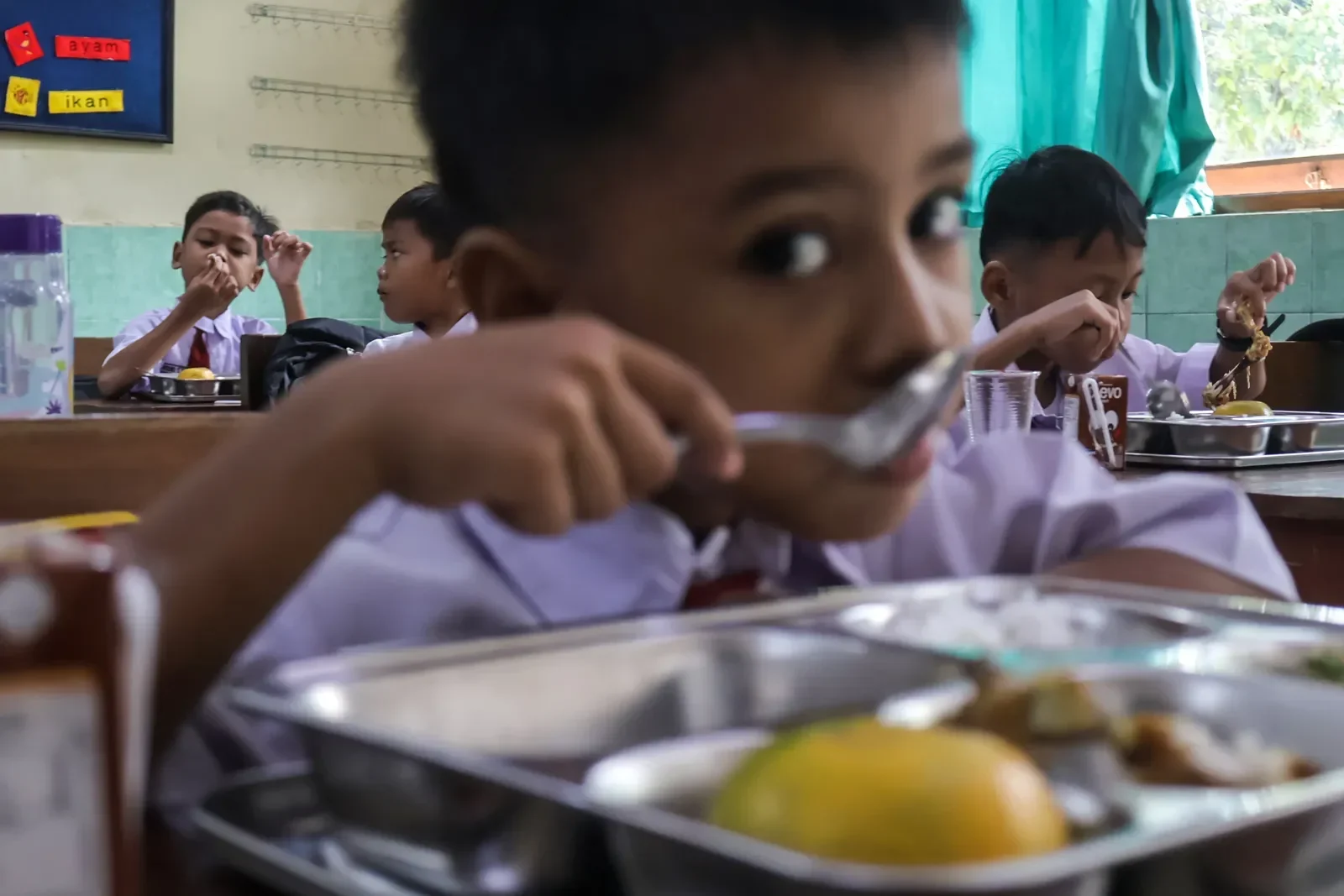 polemik makan bergizi gratis dpr minta kata gratis dihapus ribuan siswa justru keracunan massal portal berita terbaru