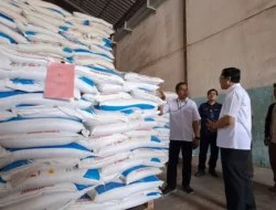 Pupuk Subsidi Anjlok 20%! Kebijakan ‘Berani’ Pemerintah Bikin Petani Sumringah, Ini Detailnya