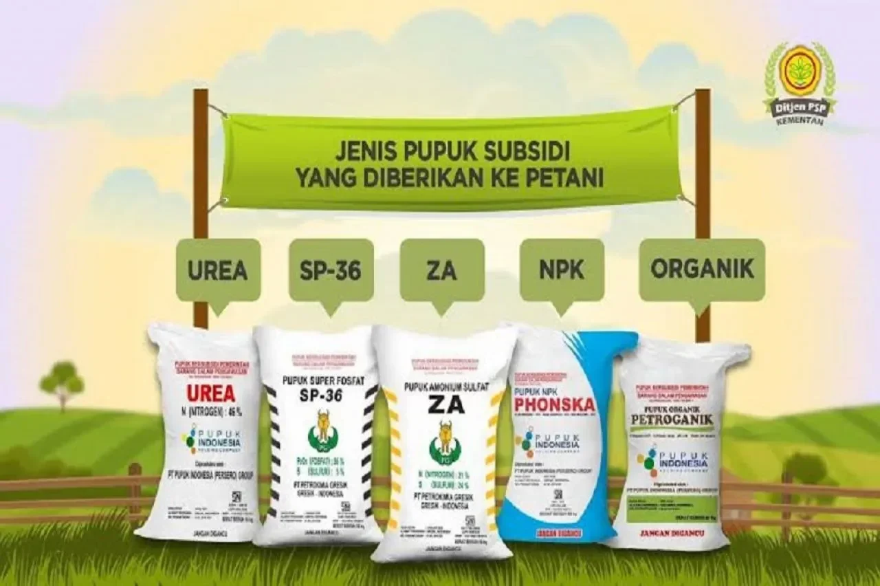 pupuk subsidi anjlok 20 petani full senyum ini jurus pemerintah bikin panen melimpah portal berita terbaru