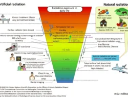 Radiasi Cikande: Negara Lengah, Pengawasan Nuklir Indonesia Terancam Lumpuh?