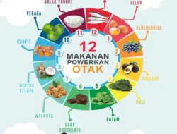 Rahasia Otak Cerdas Anak Terungkap! 7 Makanan Ini Bikin Si Kecil Makin Pintar, Orang Tua Wajib Coba!