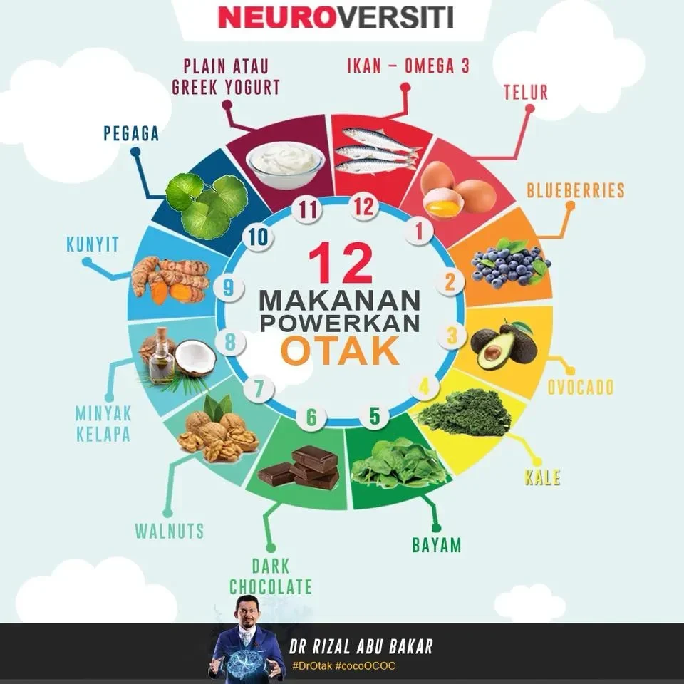 rahasia otak cerdas anak terungkap 7 makanan ini bikin si kecil makin pintar orang tua wajib coba portal berita terbaru