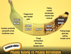 Rahasia Tersembunyi! Ini Waktu Paling Jitu Makan Pisang Biar Diet Auto Berhasil dan Tidur Nyenyak