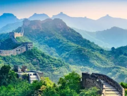 Rem Darurat China! Mengapa Raksasa Mobil Listrik Dunia Ini Mendadak Perketat Ekspor?