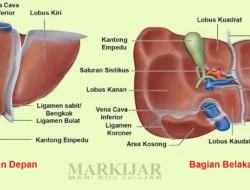 Sering Insomnia? Mungkin 9 Makanan Ini Biang Keroknya!