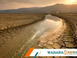 Siap-siap! BMKG Ungkap Indonesia Berpotensi Hujan Sepanjang Tahun 2026, Ada Fenomena Ini