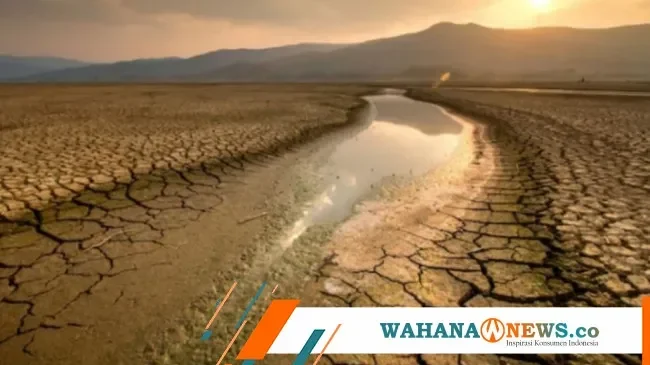 siap siap bmkg ungkap indonesia berpotensi hujan sepanjang tahun 2026 ada fenomena ini portal berita terbaru