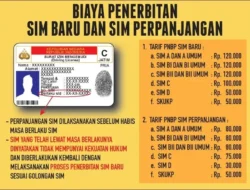 SIM Mati? Jangan Panik! Ternyata Bisa Diperpanjang Tanpa Bikin Baru, Ini Trik Resminya!