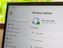 Skuad Timnas Indonesia Bikin Kaget! 29 Pemain Dipanggil, Nasib Emil Audero Terungkap Jelang Lawan Arab Saudi & Irak