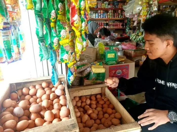 solo geger harga telur meroket tembus rp30 ribu pedagang ungkap dugaan dalang di baliknya portal berita terbaru