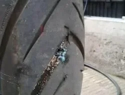 Stop Pakai Cairan Antibocor di Ban Tubeless! Ini 3 Alasan Kenapa Kamu Harus Berhenti Sekarang