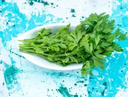 Stop Salah Kaprah! Begini Cara Jalan Kaki yang Benar Agar Jantung Kuat Maksimal