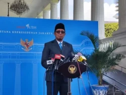 SWF Indonesia Bikin Dunia Melongo! Danantara, Pemain Baru dengan Aset Rp16.500 Triliun, Langsung Masuk Top 5 Global!