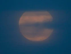 Terbongkar! Ini Dia Rahasia Kekuatan Global di Balik Berita CNN Indonesia yang Wajib Kamu Tahu