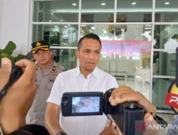 Terbongkar! Jaringan Penjual Anak Kucing Hutan Langka Diburu Polisi, Otak Utama Masih Licin