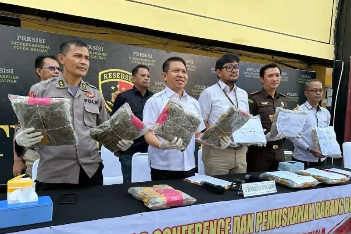 terbongkar pengedar ganja hampir 1 kg di cengkareng diciduk modus jaringan medsos bikin geleng geleng portal berita terbaru