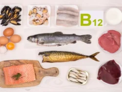 Terkuak! 7 Makanan Super Ini Bikin Otak Cerdas dan Tubuh Berenergi, Wajib Tahu!