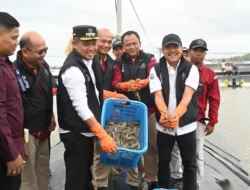 TERKUAK! Nasib Impor Udang & Cengkeh Indonesia ke AS: Bukan Larangan Total, Tapi Syaratnya Makin Ketat!