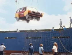 Terkuak! Perjalanan 5 Dekade Toyota Indonesia: Dari Kijang Buaya Hingga Raksasa Ekspor Otomotif Global