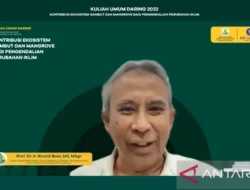 Terungkap! 12 Menteri Kabinet Merah Putih Ini Banjir Apresiasi Publik Jelang Setahun Pemerintahan, Siapa Paling Moncer?