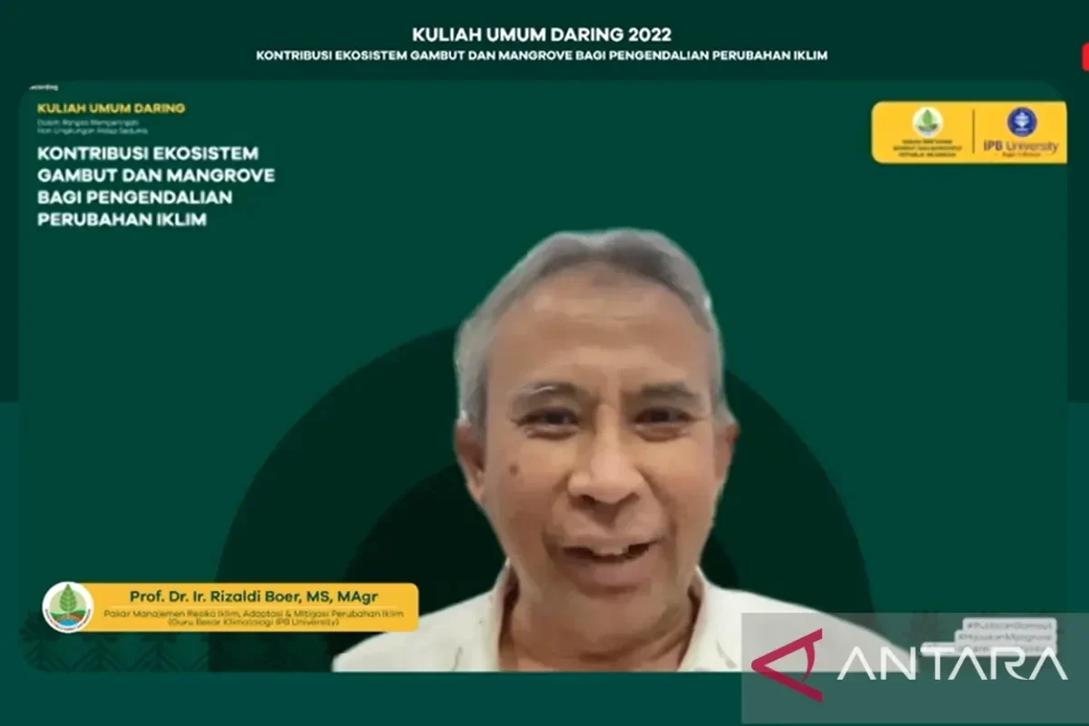 terungkap 12 menteri kabinet merah putih ini banjir apresiasi publik jelang setahun pemerintahan siapa paling moncer portal berita terbaru